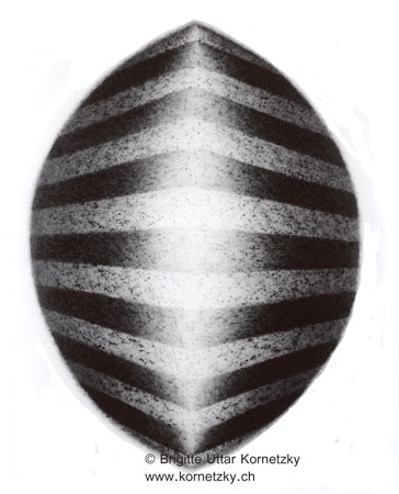 a99027c2